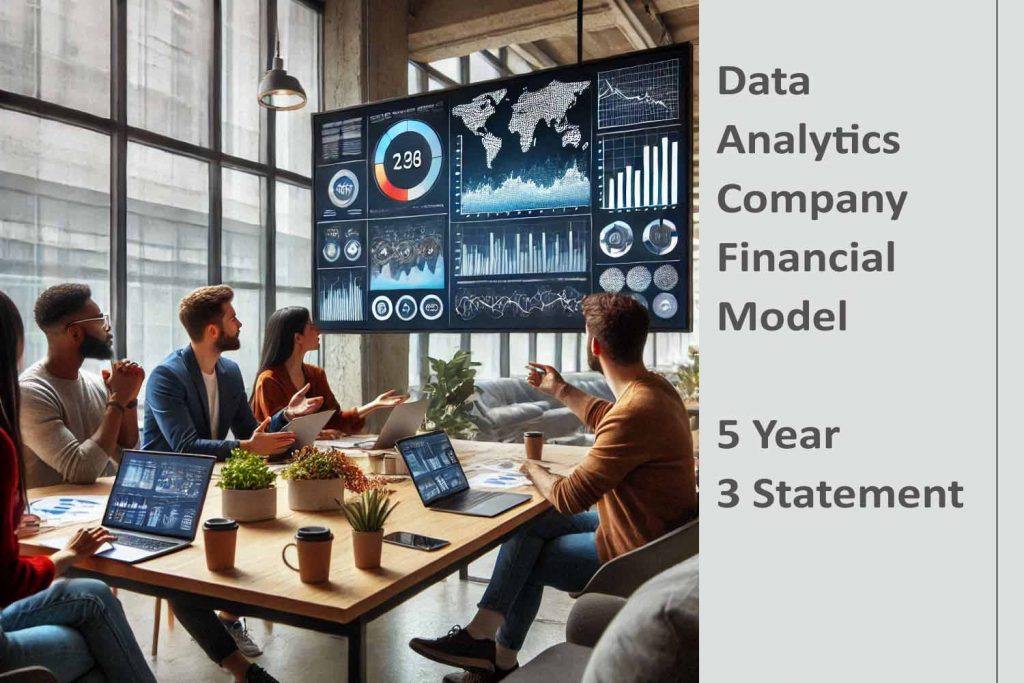 Data Analytics Company Finance Model