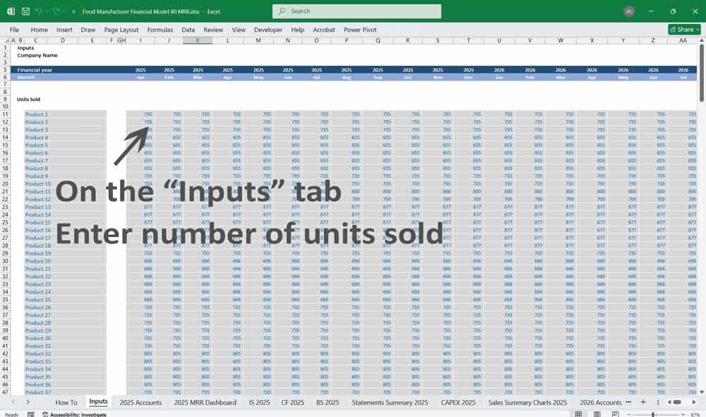 Food Manufacturer Financial Model