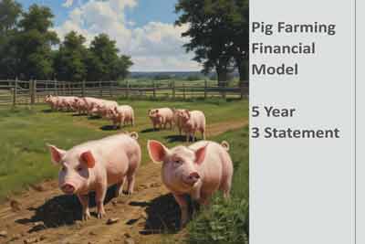 Financial Model Templates