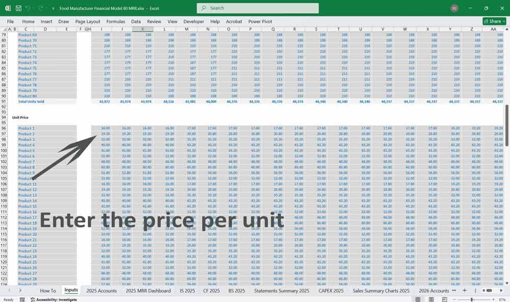 Food Manufacturer Financial Model