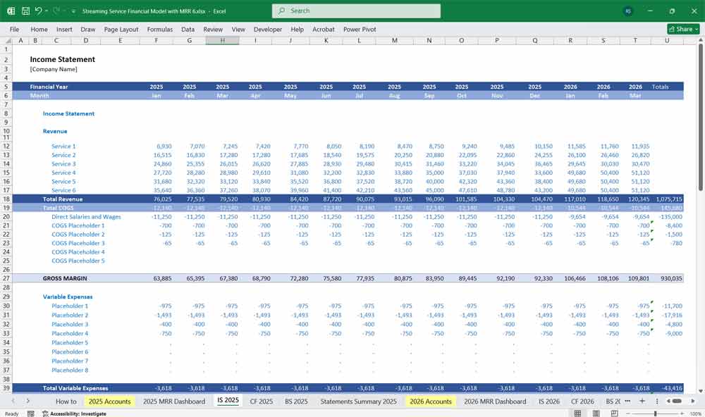 Streaming Service Financial Template