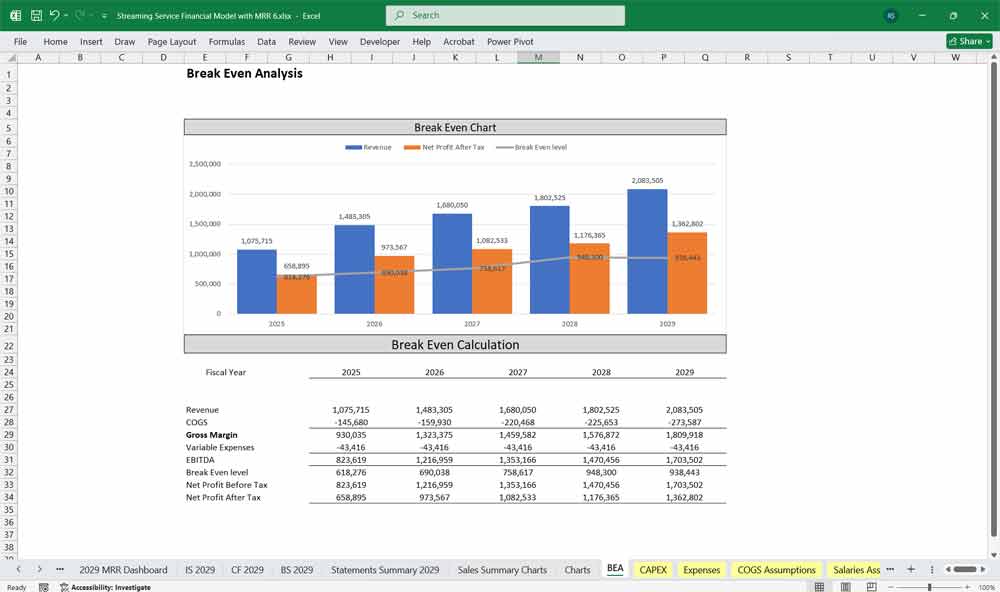 Streaming Service Financial Model