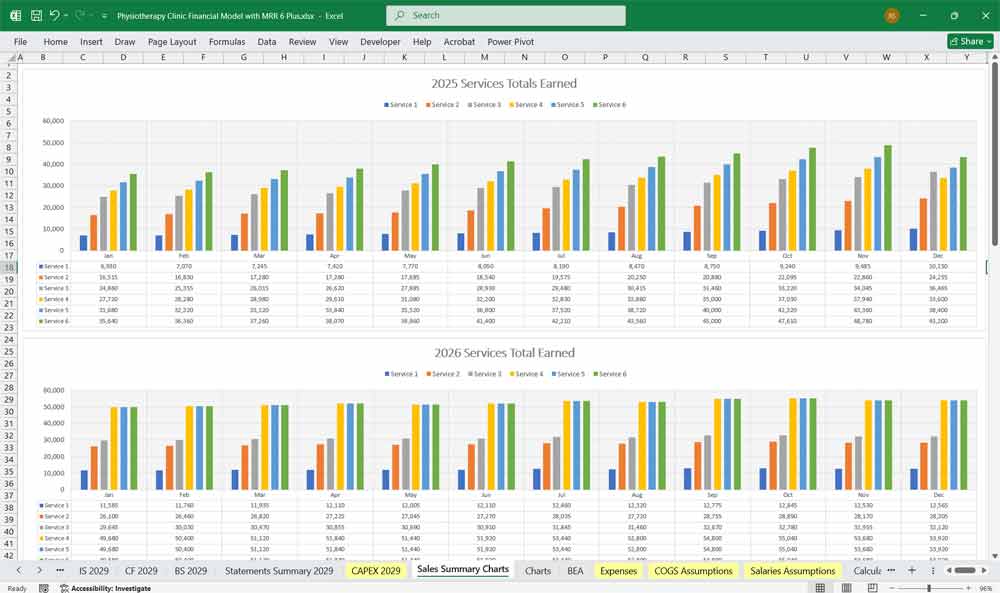 Physiotherapy Clinic Finance Template