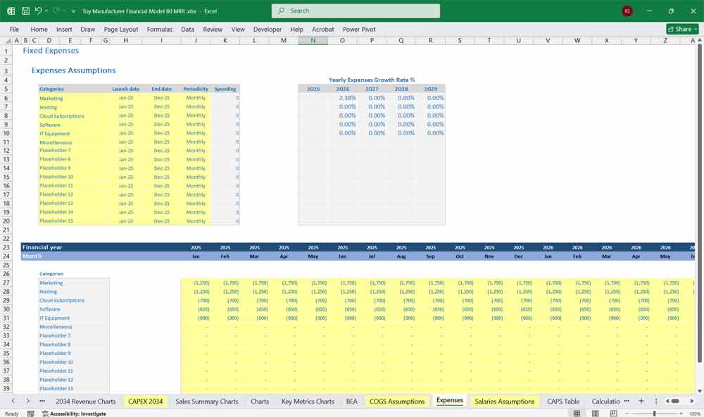 Toy Manufacturer Financial Model