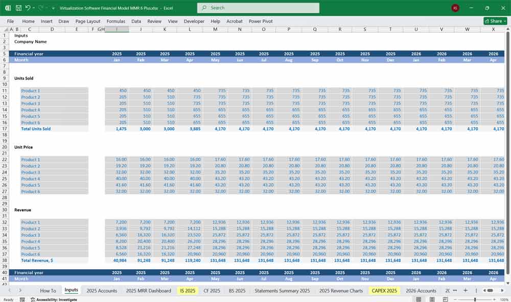 Virtualization Software Financial Model