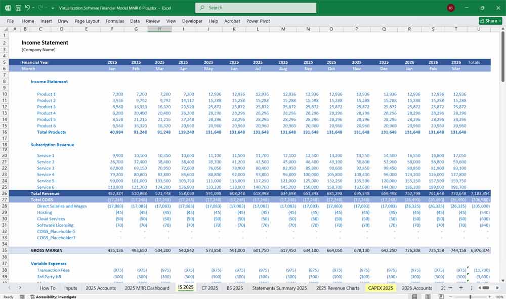 Virtualization Software Financial Model