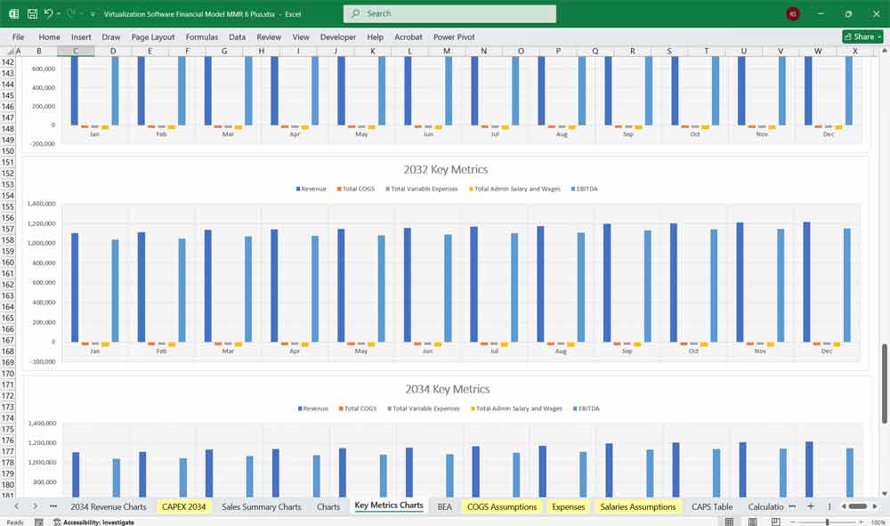 Virtualization Software Financial Model