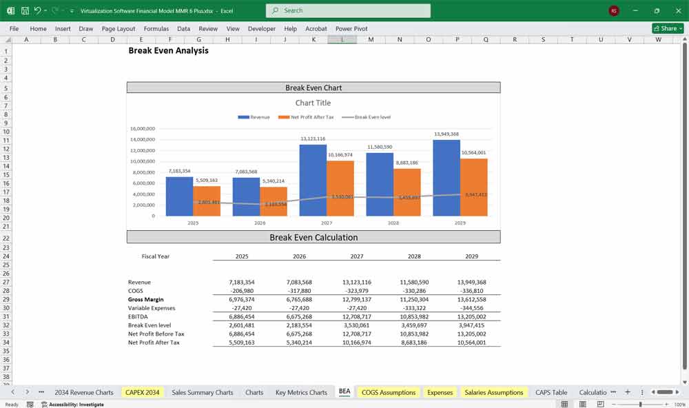 Virtualization Software Financial Model