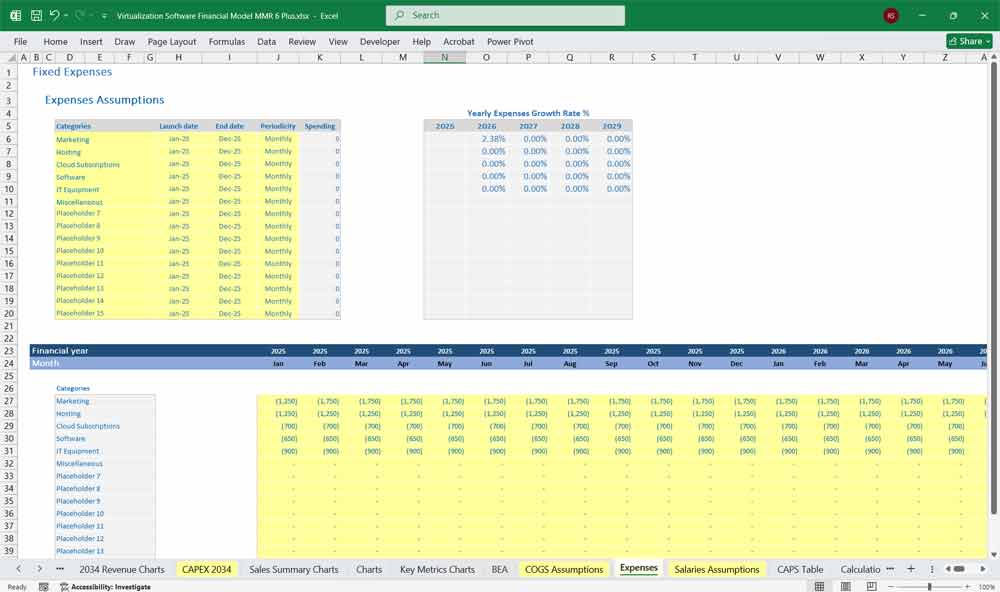 Virtualization Software Financial Model