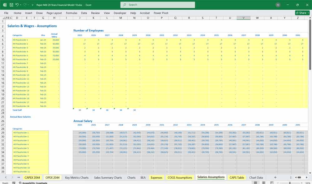Paper Mill Financial Model