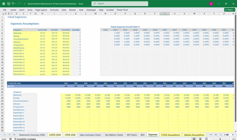 Sports Nutrition Financial Model