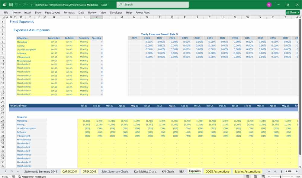 Biochemical Fermentation Plant Financial Model