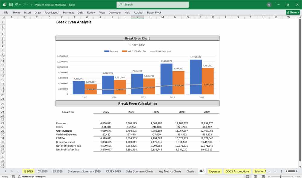 Pig Farm Financial Model