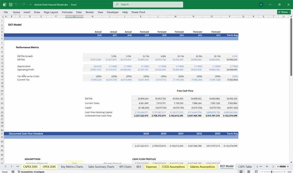 Animal Feed Financial Model With DCF