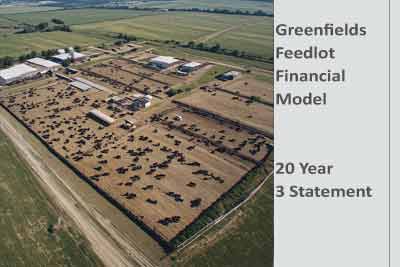 Greenfields Feedlot DCF Financial Model Template