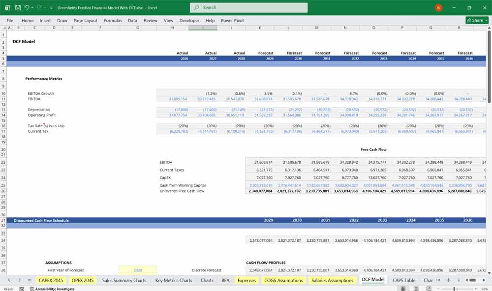 Greenfields Feedlot DCF Financial Model