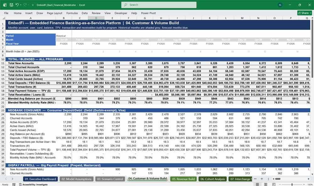 Embedded Finance Platform BaaS Model Template