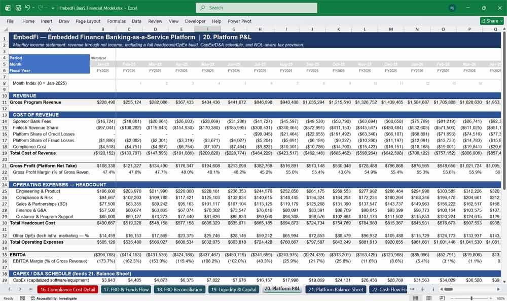 Embedded Finance Platform P&L Statement