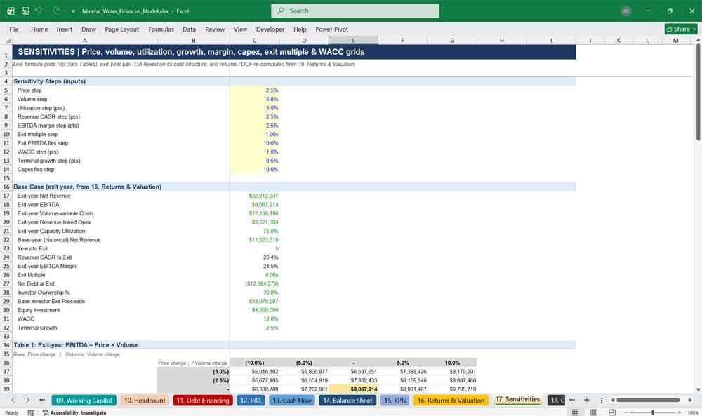 Mineral Water Financial Model Template