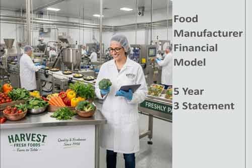 Financial Model For Food
